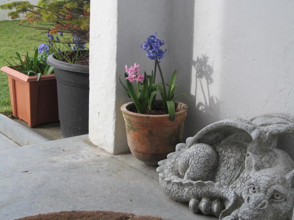 Bosayne Guest House Tintagel Buitenkant foto